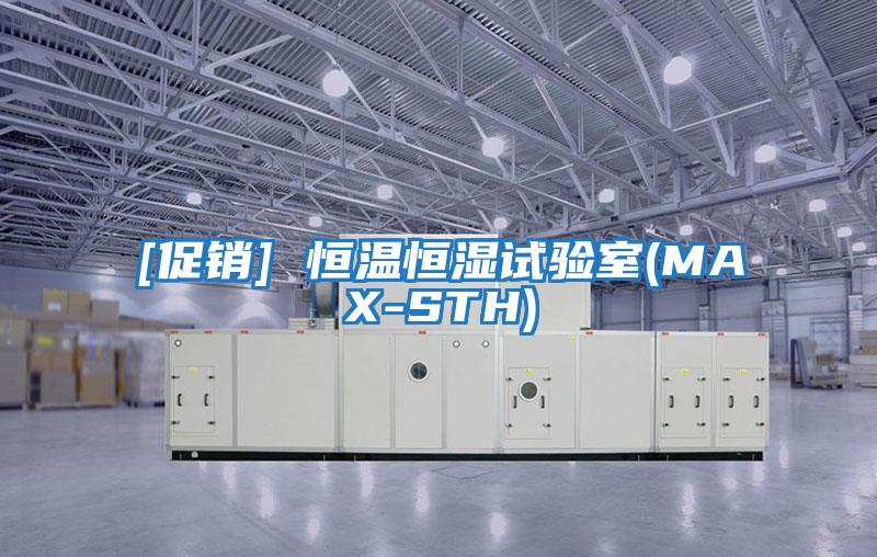 [促銷] 恒溫恒濕試驗室(MAX-STH)