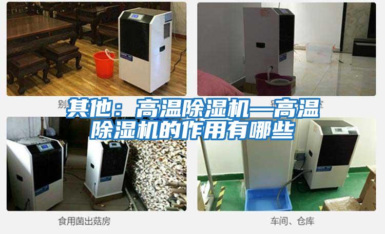 其他:高溫除濕機—高溫除濕機的作用有哪些
