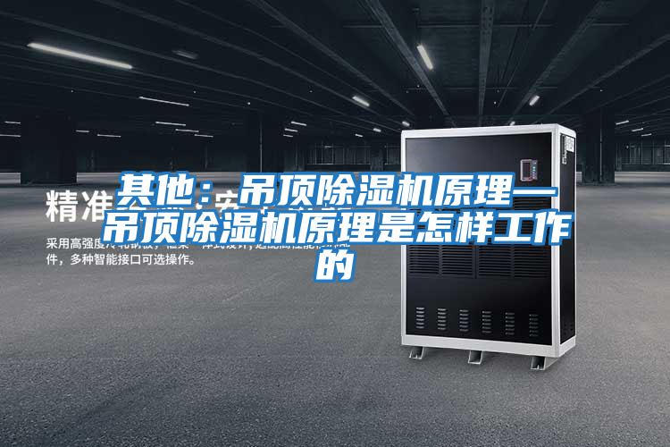 其他:吊頂除濕機(jī)原理—吊頂除濕機(jī)原理是怎樣工作的