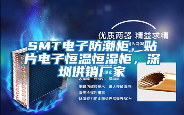 SMT電子防潮柜，貼片電子恒溫恒濕柜，深圳供銷廠家