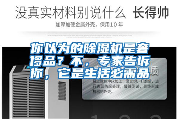 你以為的除濕機(jī)是奢侈品？不，專家告訴你，它是生活必需品