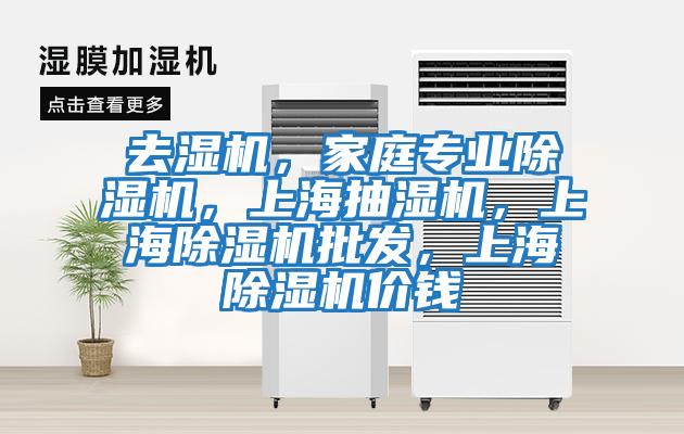去濕機,家庭專業除濕機,上海抽濕機,上海除濕機批發,上海除濕機價錢