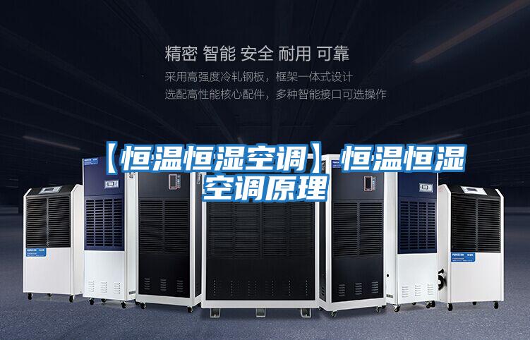 【恒溫恒濕空調】恒溫恒濕空調原理