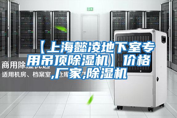 【上海懿凌地下室專用吊頂除濕機(jī)】價(jià)格,廠家,除濕機(jī)