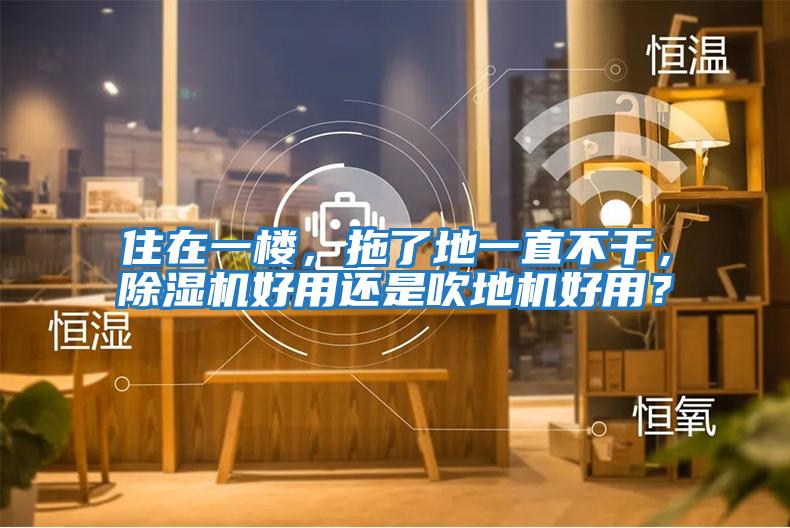 住在一樓，拖了地一直不干，除濕機好用還是吹地機好用？