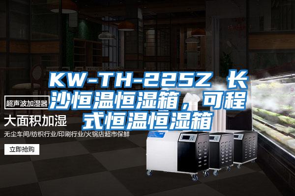 KW-TH-225Z 長沙恒溫恒濕箱，可程式恒溫恒濕箱