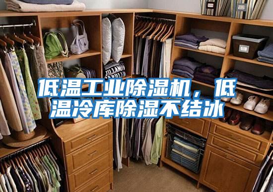 低溫工業(yè)除濕機(jī)，低溫冷庫除濕不結(jié)冰