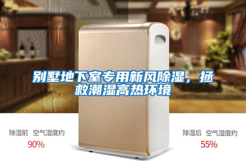 別墅地下室專用新風除濕，拯救潮濕高熱環境