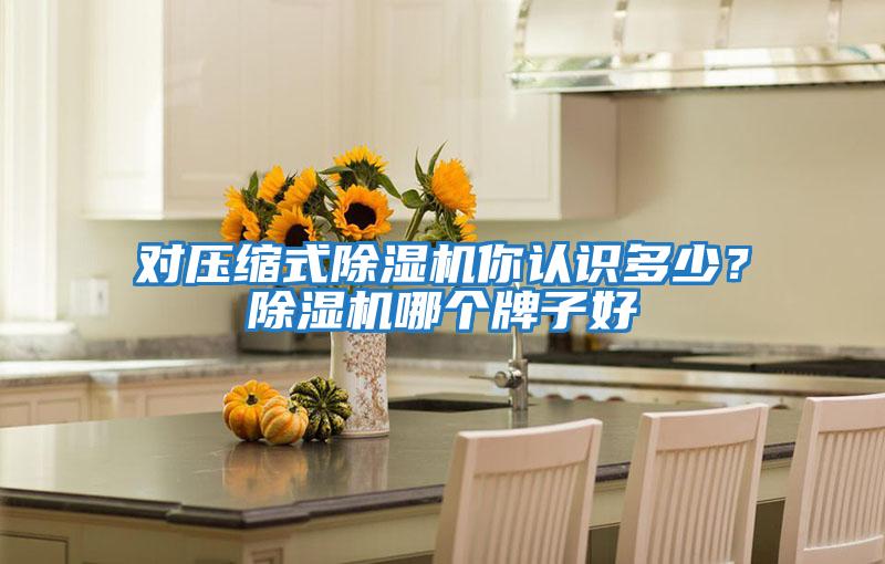 對壓縮式除濕機你認識多少？除濕機哪個牌子好