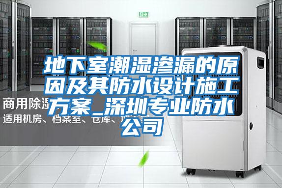 地下室潮濕滲漏的原因及其防水設(shè)計(jì)施工方案_深圳專(zhuān)業(yè)防水公司