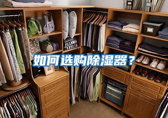 如何選購除濕器？