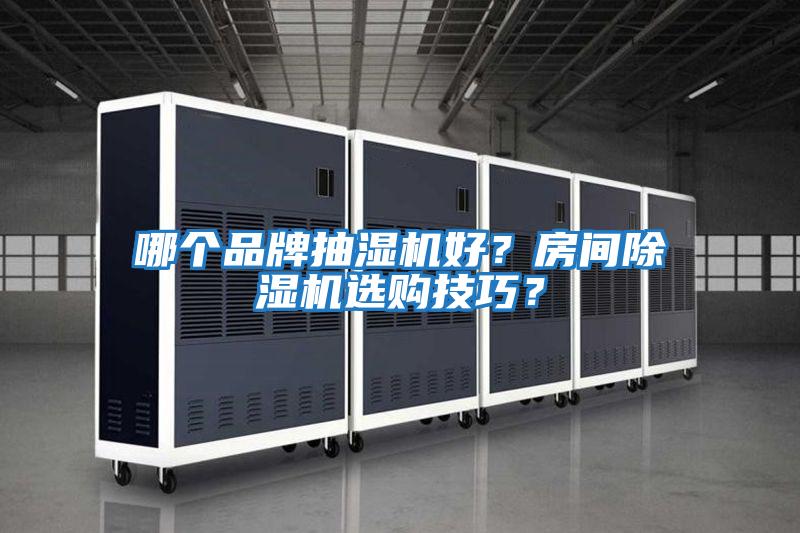 哪個(gè)品牌抽濕機(jī)好？房間除濕機(jī)選購(gòu)技巧？