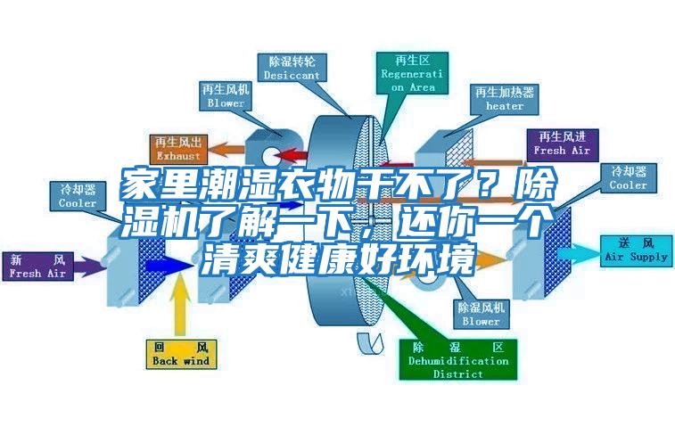 家里潮濕衣物干不了？除濕機了解一下，還你一個清爽健康好環境