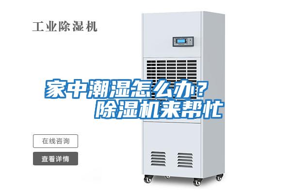 家中潮濕怎么辦？    除濕機(jī)來幫忙