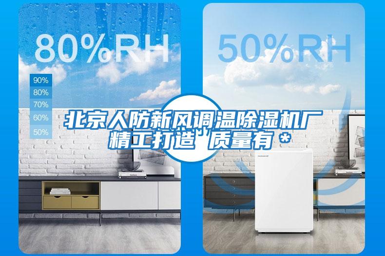 北京人防新風調溫除濕機廠 精工打造 質量有*
