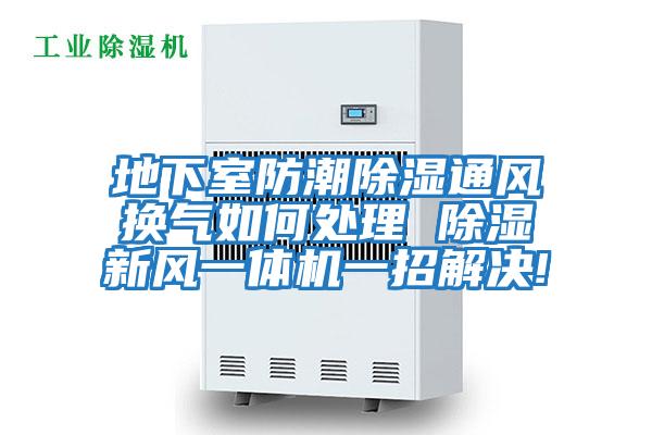 地下室防潮除濕通風換氣如何處理 除濕新風一體機一招解決!