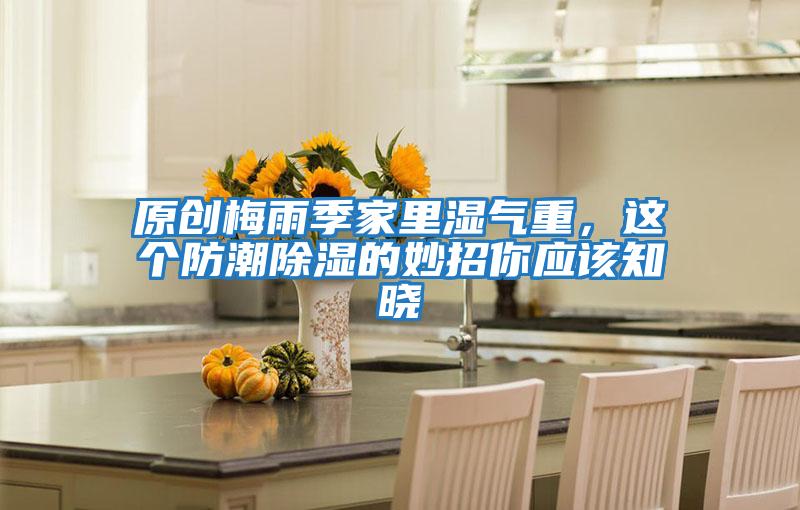 原創梅雨季家里濕氣重，這個防潮除濕的妙招你應該知曉