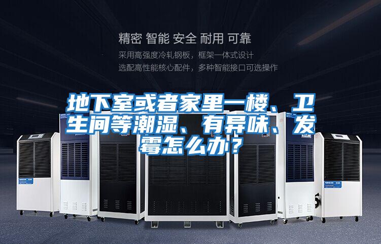地下室或者家里一樓、衛(wèi)生間等潮濕、有異味、發(fā)霉怎么辦？