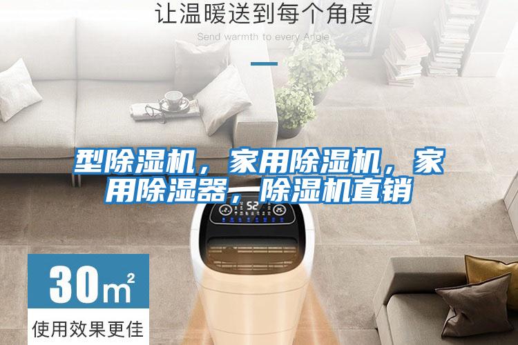 型除濕機(jī),家用除濕機(jī),家用除濕器,除濕機(jī)直銷