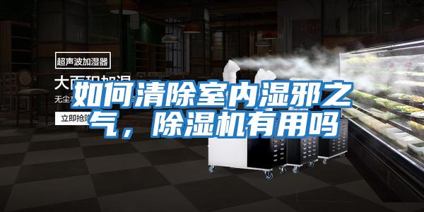 如何清除室內濕邪之氣，除濕機有用嗎