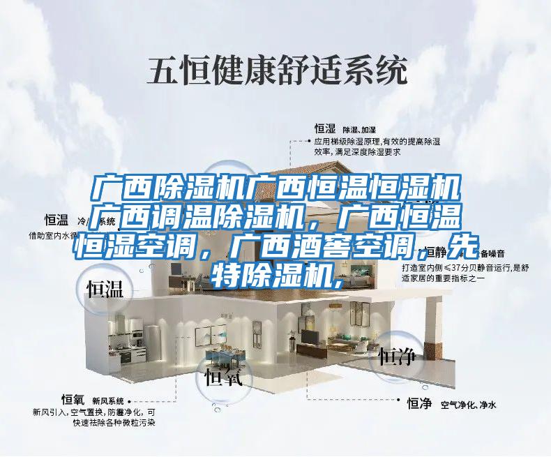 廣西除濕機廣西恒溫恒濕機廣西調溫除濕機，廣西恒溫恒濕空調，廣西酒窖空調，先特除濕機,