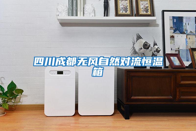 四川成都無風自然對流恒溫箱