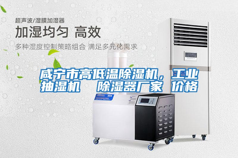 咸寧市高低溫除濕機，工業抽濕機  除濕器廠家 價格