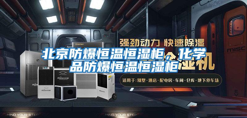 北京防爆恒溫恒濕柜，化學品防爆恒溫恒濕柜