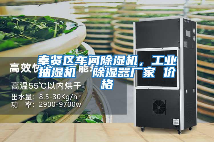 奉賢區(qū)車間除濕機(jī),工業(yè)抽濕機(jī) 除濕器廠家 價格