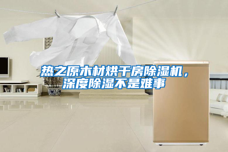 熱之原木材烘干房除濕機，深度除濕不是難事