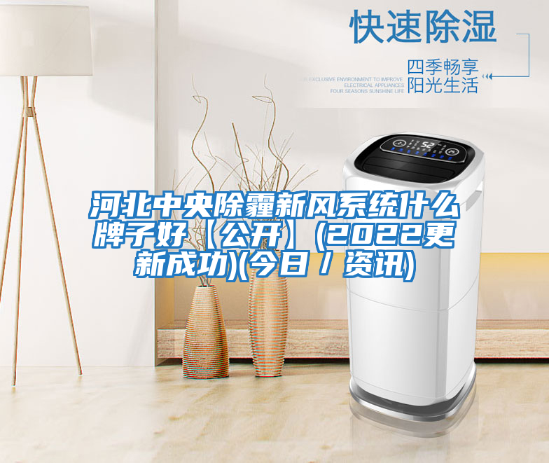 河北中央除霾新風系統什么牌子好【公開】(2022更新成功)(今日／資訊)