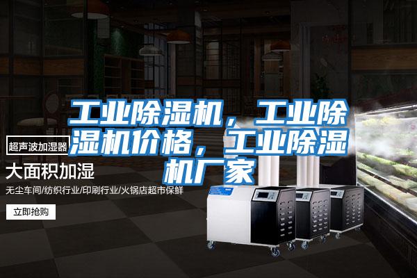 工業(yè)除濕機(jī),工業(yè)除濕機(jī)價(jià)格,工業(yè)除濕機(jī)廠家