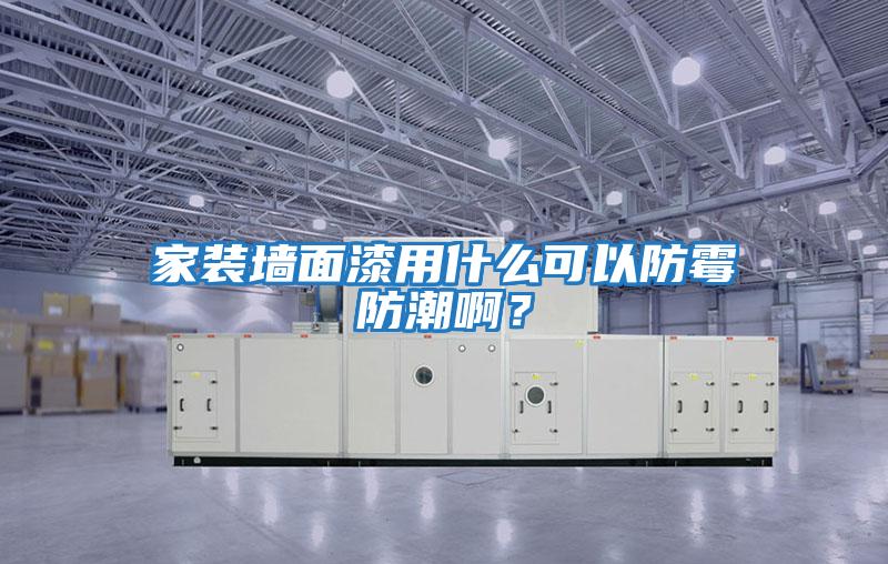 家裝墻面漆用什么可以防霉防潮啊？