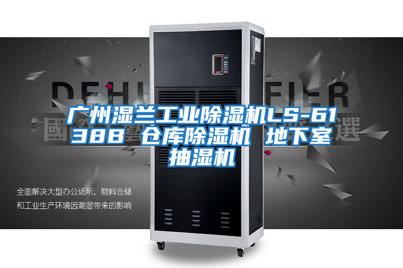 廣州濕蘭工業除濕機LS-6138B 倉庫除濕機 地下室抽濕機
