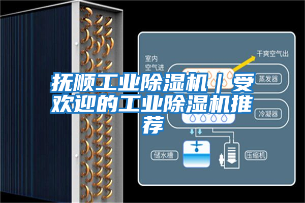 撫順工業除濕機｜受歡迎的工業除濕機推薦