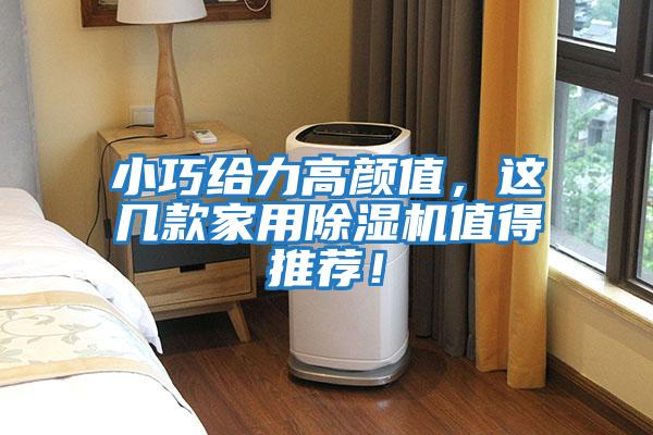 小巧給力高顏值，這幾款家用除濕機值得推薦！