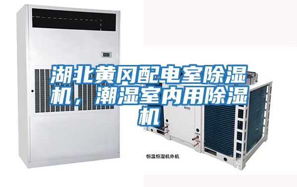 湖北黃岡配電室除濕機，潮濕室內(nèi)用除濕機