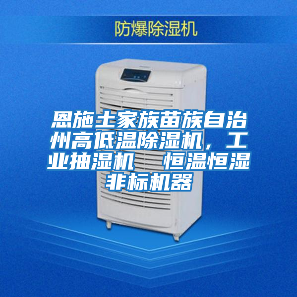 恩施土家族苗族自治州高低溫除濕機，工業(yè)抽濕機  恒溫恒濕非標機器