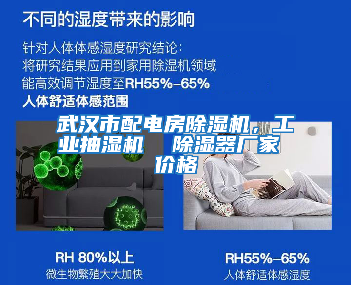 武漢市配電房除濕機(jī)，工業(yè)抽濕機(jī)  除濕器廠家 價格