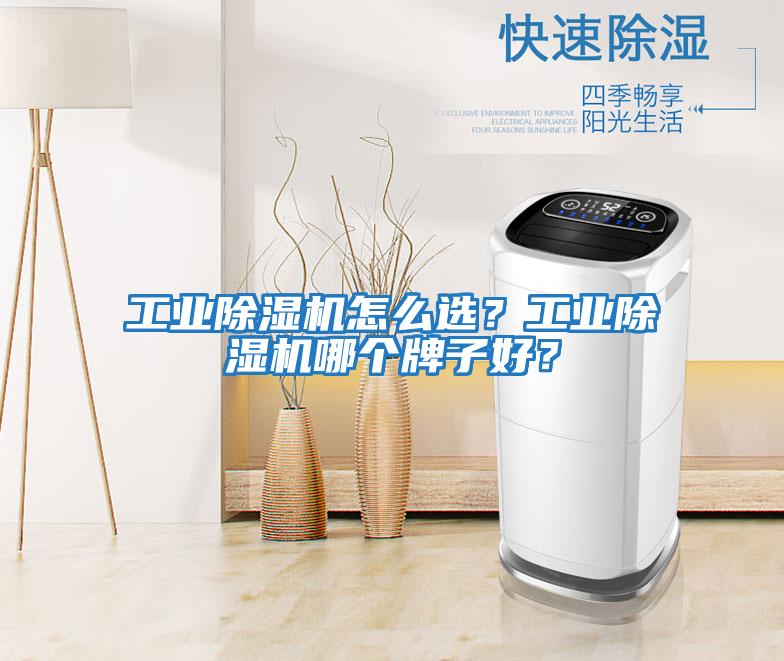 工業除濕機怎么選？工業除濕機哪個牌子好？