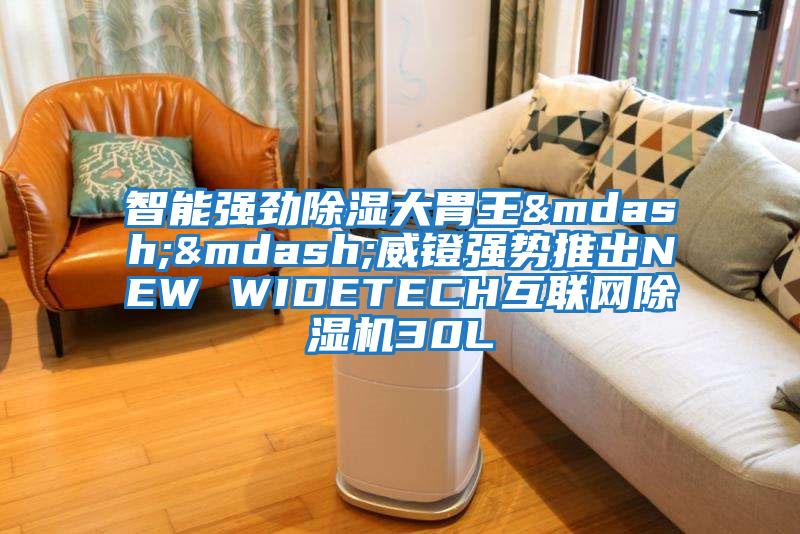 智能強勁除濕大胃王&mdash;&mdash;威鐙強勢推出NEW WIDETECH互聯(lián)網(wǎng)除濕機30L