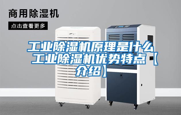 工業除濕機原理是什么 工業除濕機優勢特點【介紹】