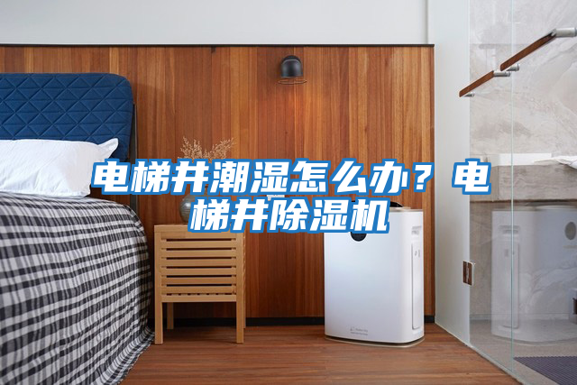 電梯井潮濕怎么辦？電梯井除濕機(jī)