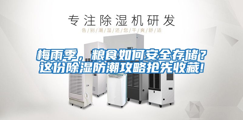 梅雨季，糧食如何安全存儲？這份除濕防潮攻略搶先收藏!
