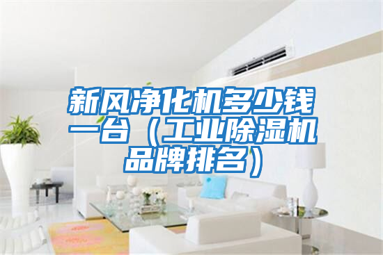 新風凈化機多少錢一臺（工業除濕機品牌排名）