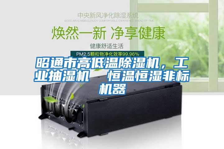 昭通市高低溫除濕機，工業(yè)抽濕機  恒溫恒濕非標機器