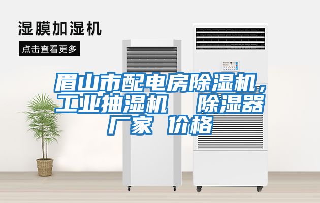 眉山市配電房除濕機，工業抽濕機  除濕器廠家 價格