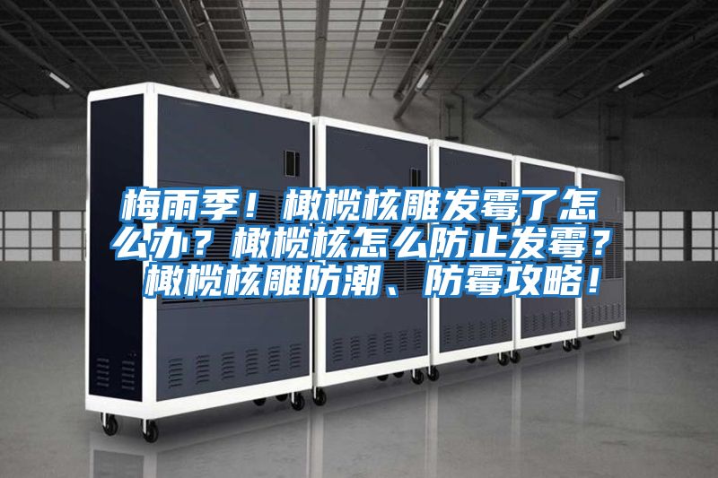 梅雨季！橄欖核雕發(fā)霉了怎么辦？橄欖核怎么防止發(fā)霉？ 橄欖核雕防潮、防霉攻略！