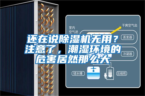 還在說除濕機無用？注意了，潮濕環(huán)境的危害居然那么大