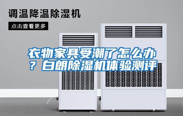 衣物家具受潮了怎么辦？白朗除濕機體驗測評